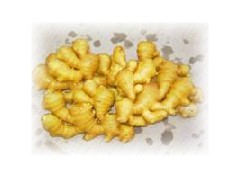 Ginger Extract图1