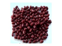Small Red Bean图1