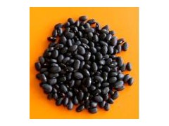 Black Kidney Bean图1