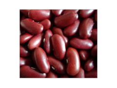 British Red Kidney Bean (A003)图1