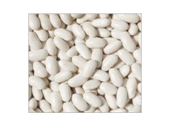 White Kidney Bean - Bashake (A0011)图1