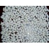 Baishake White Beans (HM-11007)