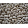 White Kidney Beans