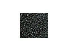 Black Kidney Beans图1