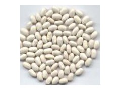 White Kidney Bean图1