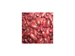 Red Kidney Beans图1