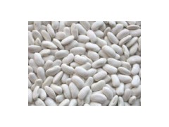 White Kidney Beans图1