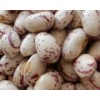 Light Speckled Kidney Beans (round shape)
