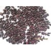 Dark Red Kidney Beans