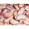 Light Speckled Kidney Beans (LSKB)