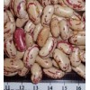 Long Speckled Kidney Bean
