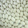 White Kidney Beans (KB-005)