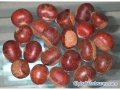 Chestnut图1