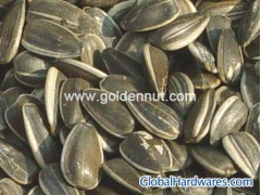 Sunflower seeds (short type图1