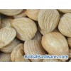 Sweet Almond Kernel