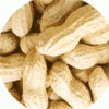 Peanut in shells