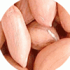Long-shaped Peanut Kernels