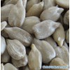 Sunflower Seeds