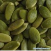 Pumpkin Seed Kernel