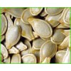 PUMPKIN SEED