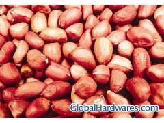 Red skin peanuts图1