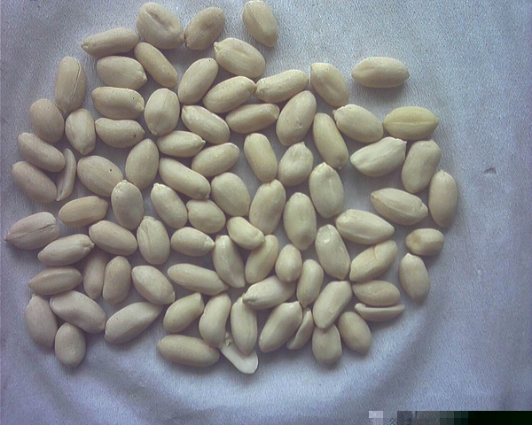 Blanched Peanut Kernels