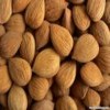 Sweet Almond