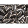 Sunflower seeds