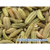 Fennel Seed