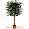 Artificial Ficus Trees
