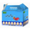 LORAIN KELP NUTRITION EGGS GIFT BOXES