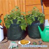 3 pc grow bag for sweet potato set