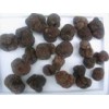 Fresh Truffles (Tuber Indicum) Crop 2007