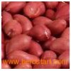 Chinese Redskin Peanut
