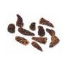 Indian Dried Mushroom / Dried Morels / Morchella Conica /..