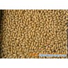 New Crop Blanched Peanut Kernels