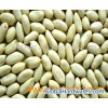 Blanched Peanut (1)