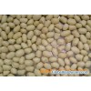 Blanched Peanut Kernels