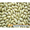 Blanched Peanut Kernels