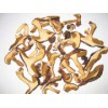 DRIED MUSHROOM BAY BOLETE