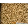 New Crop Blanched Peanut Kernels 01