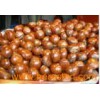 Chestnut 02