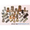 Rivet Nut