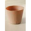 Plastic Biodegradable Plant Pots , Eco-Friendly And Recycle