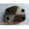 Alloy steel SAE Weld Flange with forging Process For Specia