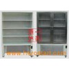 Class 100 Cold Steel Double Door Clean Cabinet / Laminar Ai