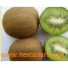 organic_kiwi_fruit