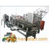 Catering Roll Packaging Line