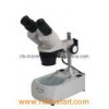Stereo Microscope