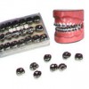 Dental Materials